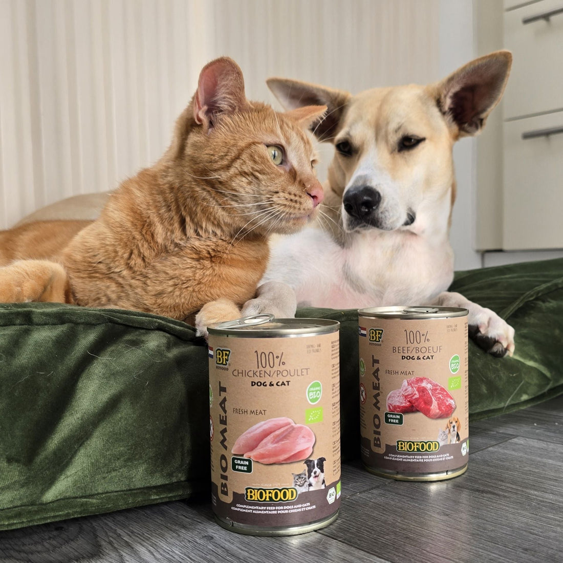 Mixed feeding: brokken en vlees combineren