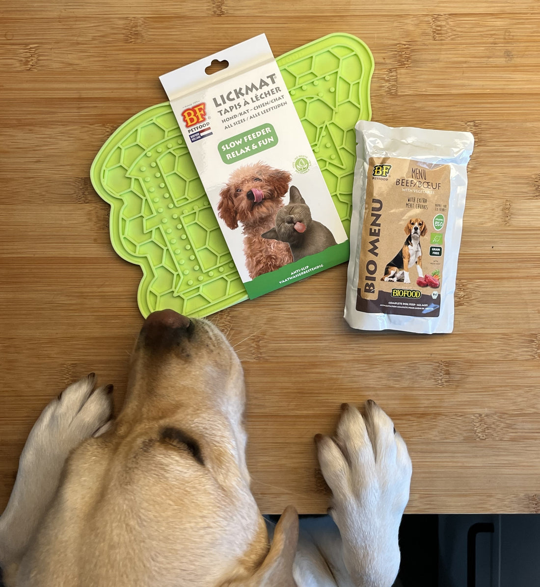 Waarom mentale stimulatie voor honden zo belangrijk is